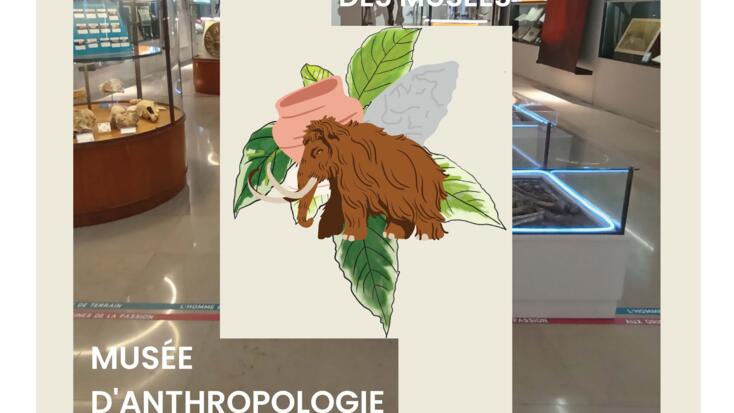 Attività - "Giornata Internazionale dei Musei"