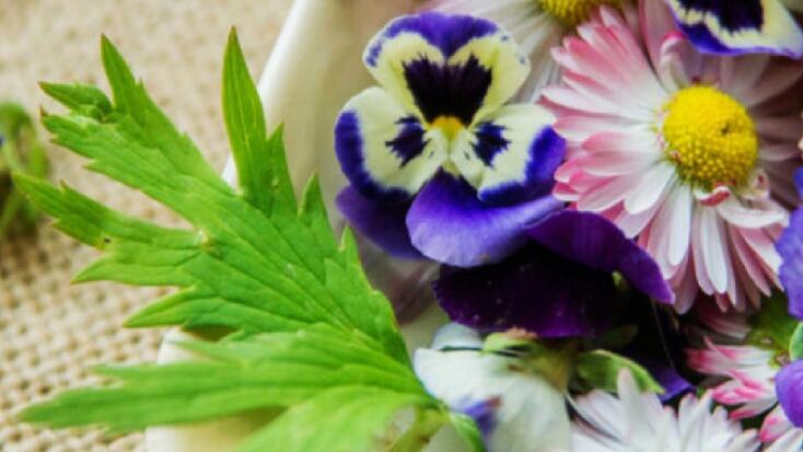 Conferenza - "Scoperta di fiori commestibili"