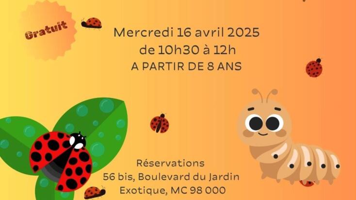 Activity - "Explore the fascinating world of insects"