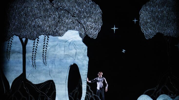 Les Ballets de Monte-Carlo - "CHOTTO DESH"