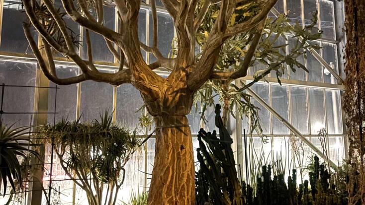 Event - "Night at the Museum at the Botanical Centre"