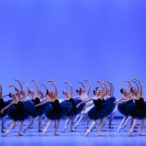 Les Ballets de Monte-Carlo - "GALA DE L'ACADÉMIE"