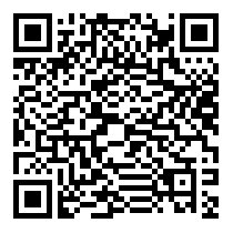 QR Code https://www.principocket.com/en/events/1330c94ba1ba3c94c322fd5017292bc3-Miro-la-peinture-au-defi