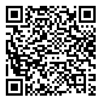 QR Code https://www.principocket.com/en/events/15bb5dac529a3fb06f7403be3012fbe3-David-and-Bruno-font-leur-cinema