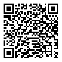 QR Code https://www.principocket.com/en/events/2628bd272af41e631986dfce4ddd118d-Mummenschanz