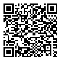 QR Code https://www.principocket.com/en/events/263a4fd5679e9386ffd73be657564157-Concerti-Macy-Gray-Leon-Phal
