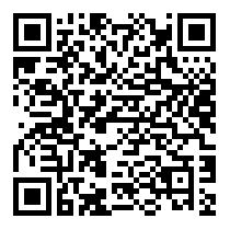 QR Code https://www.principocket.com/en/events/2e3e99ba7fd997778dbcbd2cc04aa49d-STAGE-D-ICONES