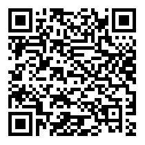 QR Code https://www.principocket.com/en/events/2eb598e09a7729d96057a0bcff8166b1-Concerto