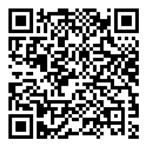 QR Code https://www.principocket.com/en/events/3818b0de23fdedcbf4203eb050932504-Premier-League-Football