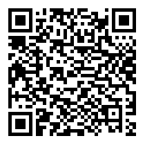QR Code https://www.principocket.com/en/events/38f9c3f22e284a259fad3446aeb48011-Incontro