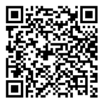 QR Code https://www.principocket.com/en/events/41d9c07959848760d2034514cbda395d-Writing-Workshop
