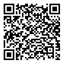 QR Code https://www.principocket.com/en/events/5d32ed98746760c384f54ca301c88678-Ballo-di-Natale