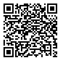 QR Code https://www.principocket.com/en/events/5e5603323bad77f9a066de97cfd0e233-Premier-League-Football