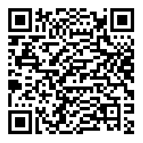 QR Code https://www.principocket.com/en/events/966d4e4f7e238746391099b6c8c2fa78-Kids-Evening-Crazy-Circus