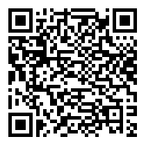 QR Code https://www.principocket.com/en/events/c2b4cfbf93506dd239f4e7a0e34fe73c-Film-Hands-over-the-City