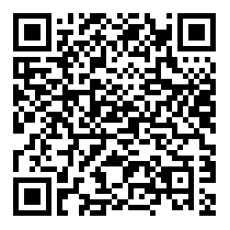 QR Code https://www.principocket.com/en/events/c60518bd9a52b95c402859f72073e162-4-Festival-dei-Musei