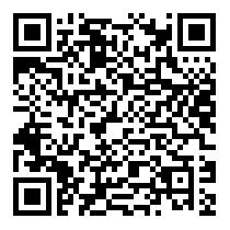 QR Code https://www.principocket.com/en/events/d1566fbd46b8a8b2569f81405c1ad390-Film-Agent-Trouble