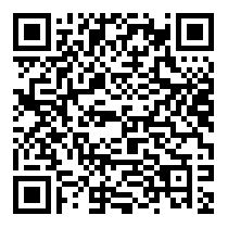 QR Code https://www.principocket.com/en/events/e0fa01370147bb7572af4b543d6251ae-Fireworks-New-Year-s-Eve