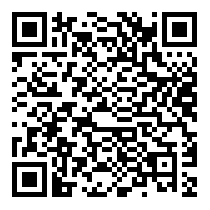 QR Code https://www.principocket.com/en/events/ea326f1b89ae9231ef4123a1068a354f-Le-shopping