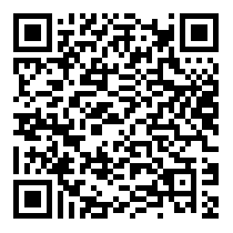 QR Code https://www.principocket.com/en/events/ef400d0d74b4fd814988b924fd7dd457-After-the-violence