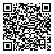 QR Code https://www.principocket.com/en/events/f29a2233c54193283043713f50bc887c-Mille-Mesi