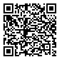 QR Code https://www.principocket.com/en/events/f67bdfd969f137be0037214fc0d45106-NIGHT-FEVER-The-Musical