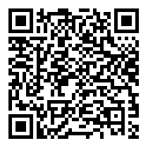QR Code https://www.principocket.com/fr/events/5d7d646bca8567f4166d5177194eb7e7-Premier-League-Football