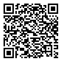 QR Code https://www.principocket.com/fr/events/83764fdffc56ab913ce3a7ec1b7c2cce-Evenement-28eme-Noel-de-Frankie