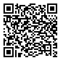 QR Code https://www.principocket.com/fr/events/adf526b51d99a42813929530e53f3d73-Film-Max-et-Jeremie