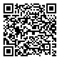 QR Code https://www.principocket.com/fr/events/c066e06f3327c508c1b1a3ee5db3cf45-Animation-Village-de-Noel