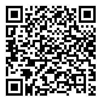 QR Code https://www.principocket.com/fr/events/c60518bd9a52b95c402859f72073e162-4-Festival-dei-Musei