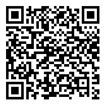 QR Code https://www.principocket.com/fr/events/c60518bd9a52b95c402859f72073e162-4th-Museum-Festival
