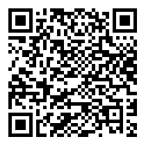 QR Code https://www.principocket.com/fr/events/e1ff68bfc8bb8f7f5f528a0336b786b6-Conference