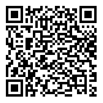 QR Code https://www.principocket.com/fr/events/fe69a3f20f701ca72738638024c540c1-Brulez-des-voitures