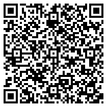 QR Code https://www.principocket.com/it/events/130f0df64b89b519446e9d848b05e13f-A-look-at-major-painting-exhibitions-Van-Gogh-at-Auvers-sur-Oise-the-final-months