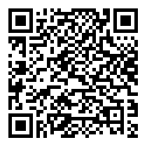 QR Code https://www.principocket.com/it/events/167c81a88cf47fa1d0f2d0abc6262338-Concerto-Elise-Allasia
