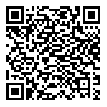 QR Code https://www.principocket.com/it/events/25bc39147c539d56dcb01e3fc8991b8f-La-crise-est-finie