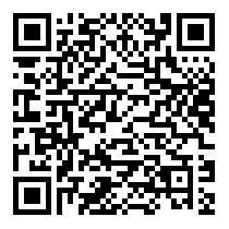 QR Code https://www.principocket.com/it/events/260de40bdfbc268a46306dd08a745460-Concerto-sinfonico