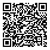 QR Code https://www.principocket.com/it/events/2922212c8495078c474cecd0bd3ceab5-Premier-League-Football