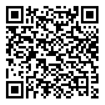 QR Code https://www.principocket.com/it/events/2e64ea4e06119f1a69a373e835be1548-Lecture