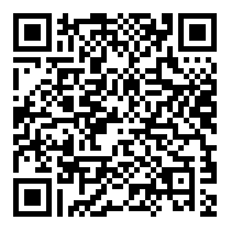 QR Code https://www.principocket.com/it/events/3818b0de23fdedcbf4203eb050932504-Premier-League-Football