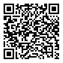 QR Code https://www.principocket.com/it/events/4e57f171d5dd55a03cbf267e500b3a07-Premier-League-Football