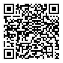 QR Code https://www.principocket.com/it/events/5e5603323bad77f9a066de97cfd0e233-Premier-League-Football