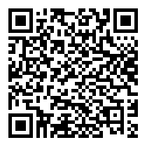 QR Code https://www.principocket.com/it/events/6c7f39d05b74e60beae63e6198e5483f-Discussion
