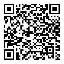 QR Code https://www.principocket.com/it/events/707266da2f09bf462259a215cdf6d775-Writing-Workshop