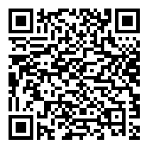 QR Code https://www.principocket.com/it/events/7e79d74b39db002a81cfe37783d44739-Incontro-con-le-opere