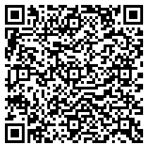 QR Code https://www.principocket.com/it/events/902cc45f46dbd736d0955863c47b3688-Conferenza-online-Veicoli-elettrici-contro-motori-a-combustione-idee-preconcette-e-impatti-ambientali