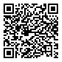 QR Code https://www.principocket.com/it/events/a360f99be5837419ba74728f2407ecad-Concert-Wayne-Snow