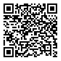 QR Code https://www.principocket.com/it/events/a5e7a0b71870ac53c3d1ccb499ac022f-Premier-League-Football