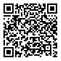 QR Code https://www.principocket.com/it/events/c2201f96fa18e5b14027e5e30ff62db0-Animation-Ice-Party